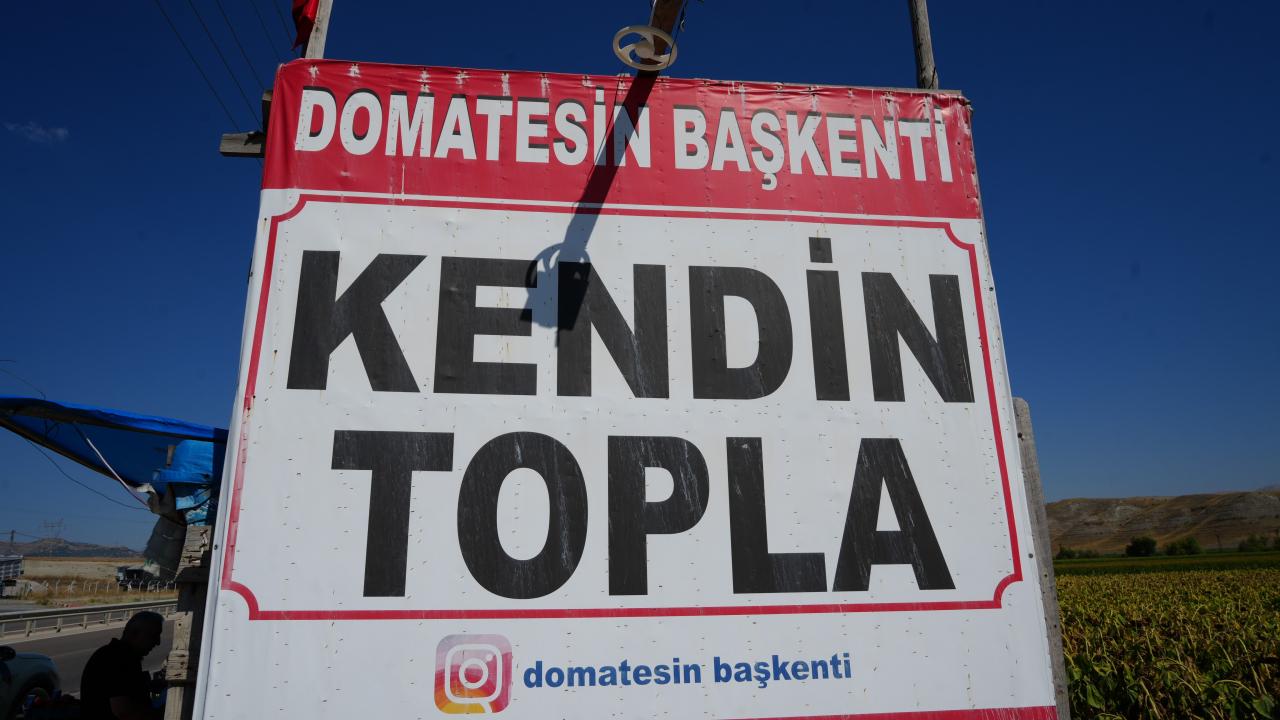 Tabelayı gören tarlaya koşuyor: Gelenek 10 yıldır devam ediyor