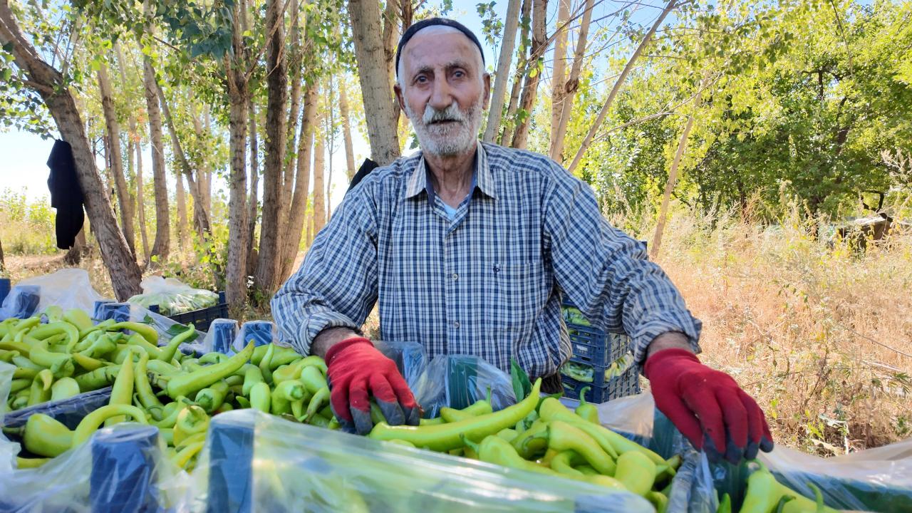 86 yaşında üretime devam ediyor: Günlük 6 ton satıyor