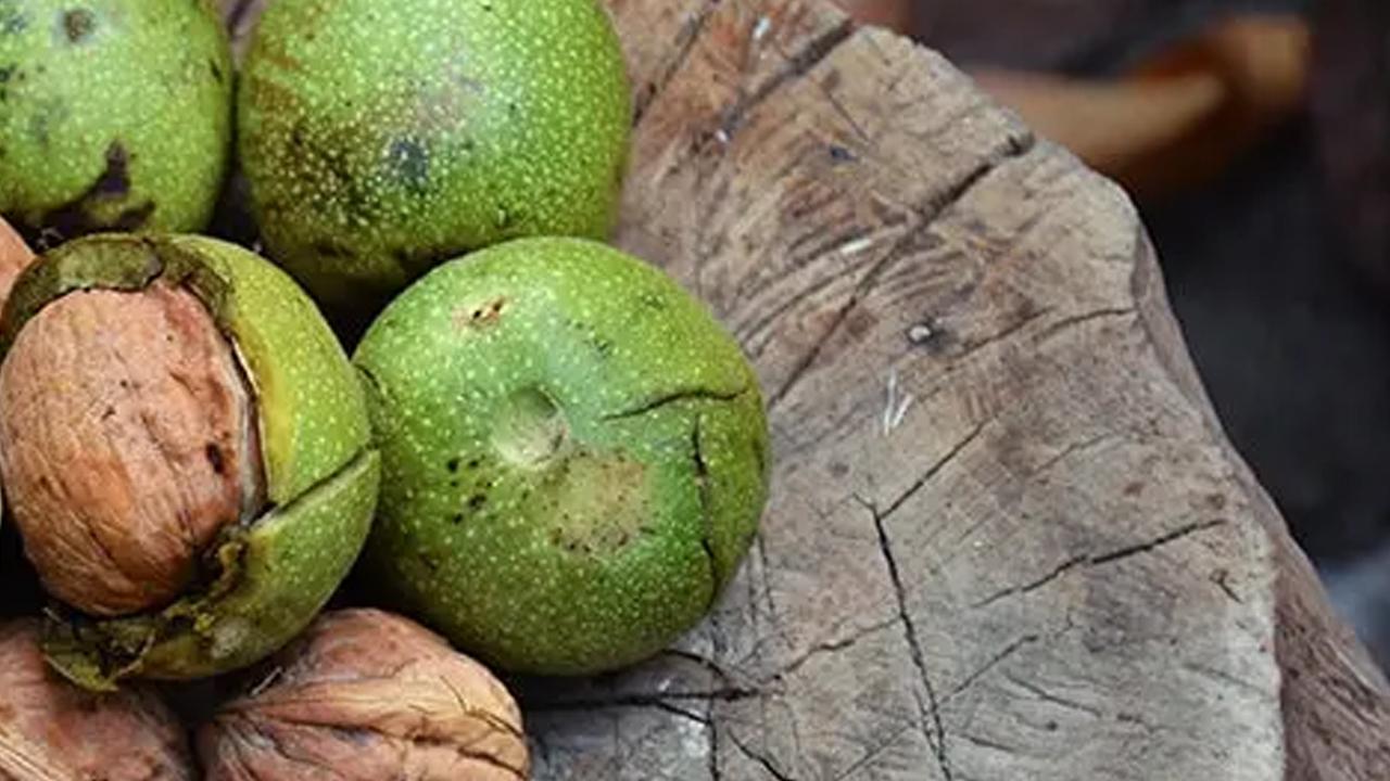 Düzenli yiyenler yaşadı: Damarlarınızı temizleyip kolesterolü düşürüyor!