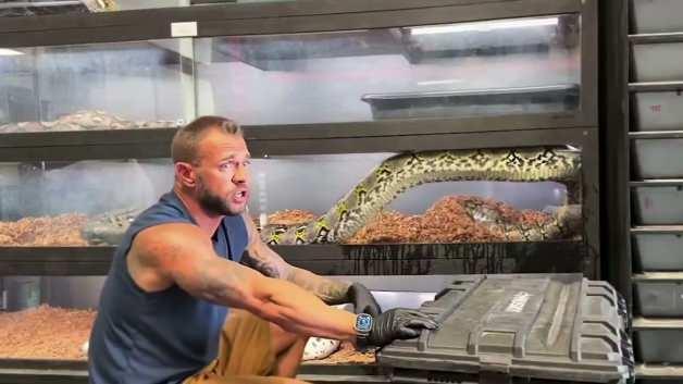 ABD'de dev piton cam kafesini kırarak dışarı çıktı