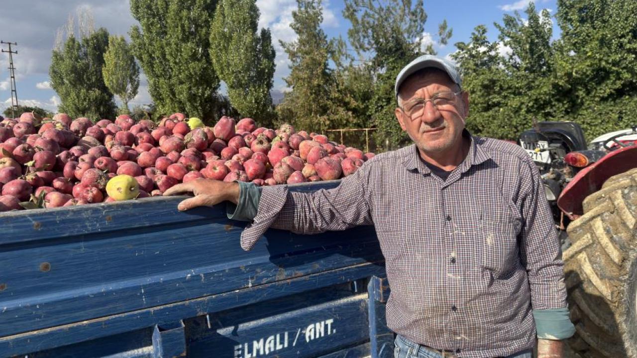 Üreticiler isyan etti! 5 TL'den meyve suyuna gidiyor