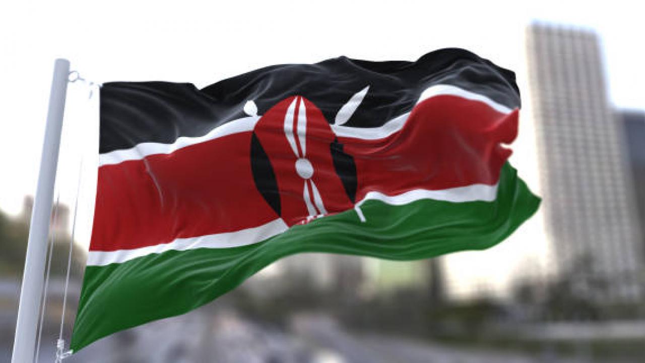 Kenya'da ölümcül virüs alarmı!