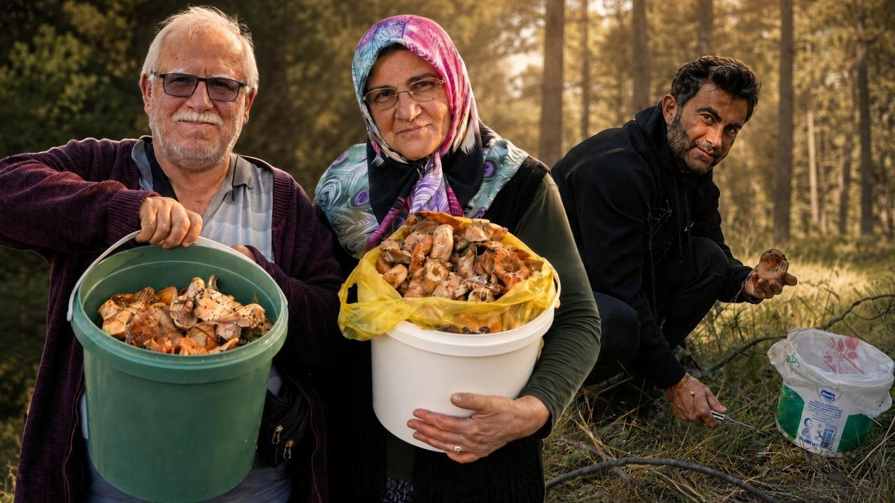 Kilosu 400 liradan 50 liraya düştü: Kovayı alan ormana koştu