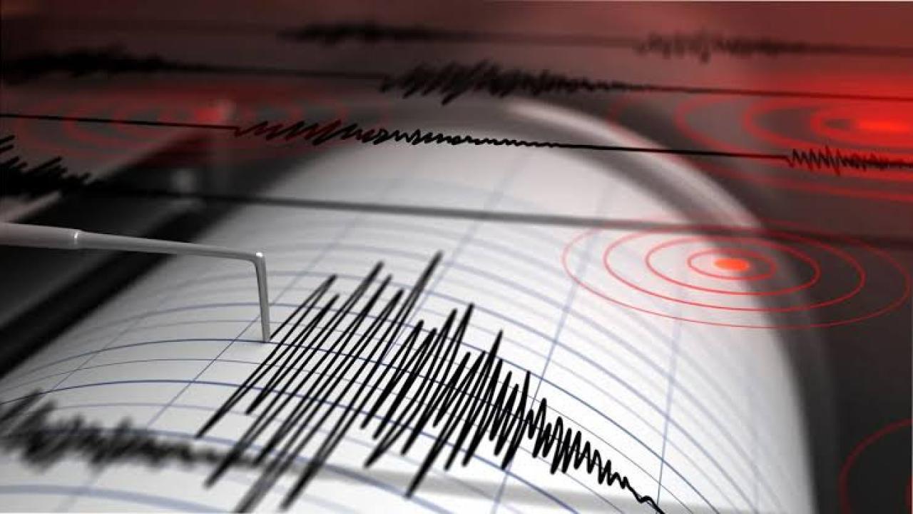 Japonya'da şiddetli deprem