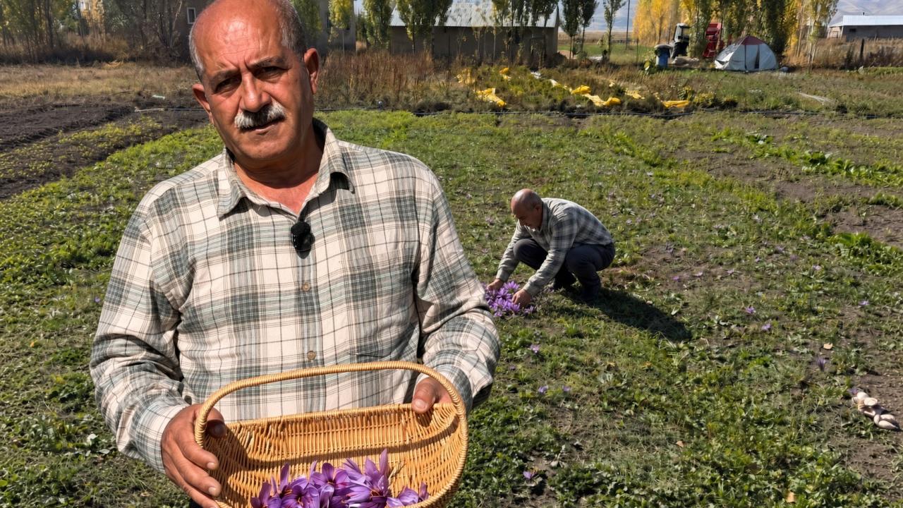 Esnaflığı bıraktı, tarlaya yöneldi! Kilosu 1 milyon liraya yaklaşan ürünü yetiştiriyor