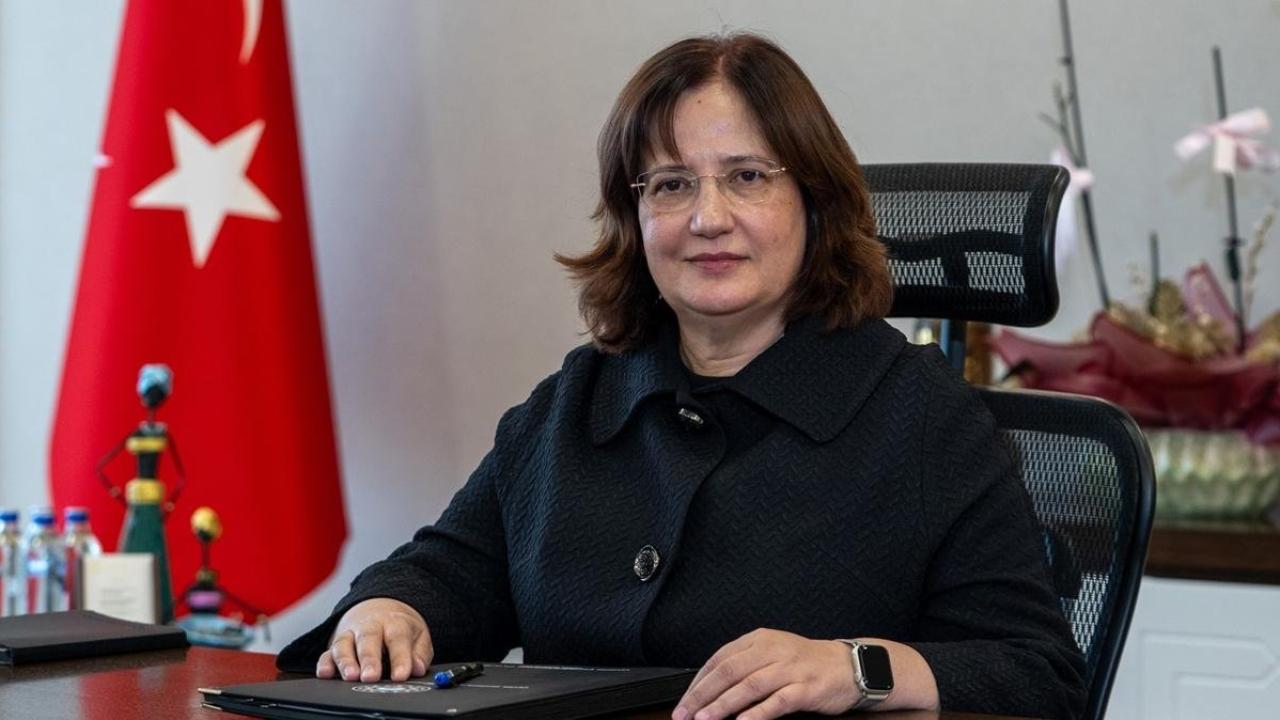 İlk 5 ülkenin ardından yeni adımlar yolda! BRIDGE için ilave ülkeler COP31'de açıklanacak